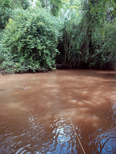 Melhores Hotéis Baratos Perto de Novo Sarandi, Paraná, Brasil 2025