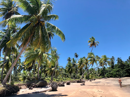 Melhores Hotéis Baratos Perto de Garapuá, Bahia, Brasil 2025