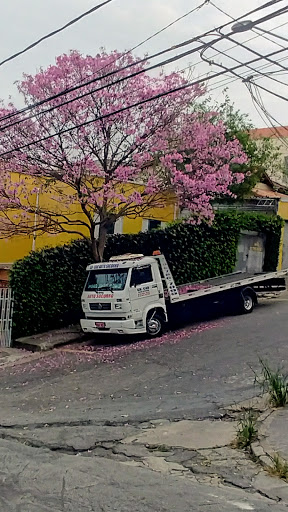 Melhores Hotéis Baratos Perto de Santa Teresinha, São Paulo 2025