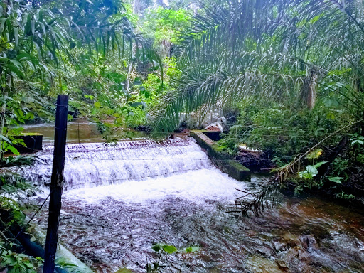 Melhores Hotéis Baratos Perto de Taquarussu Tocantins, Tocantins 2025