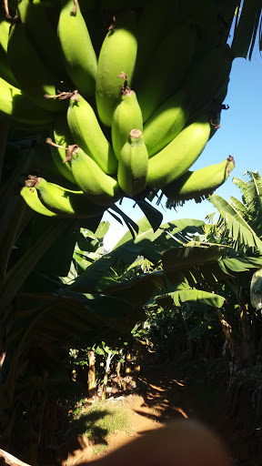 Melhores Hotéis Baratos Perto de Pedra, Santa Catarina 2025