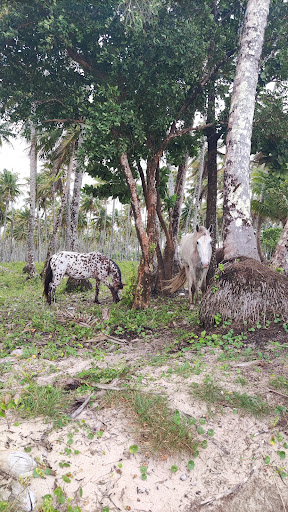 Melhores Hotéis Baratos Perto de Morere, Bahia 2025