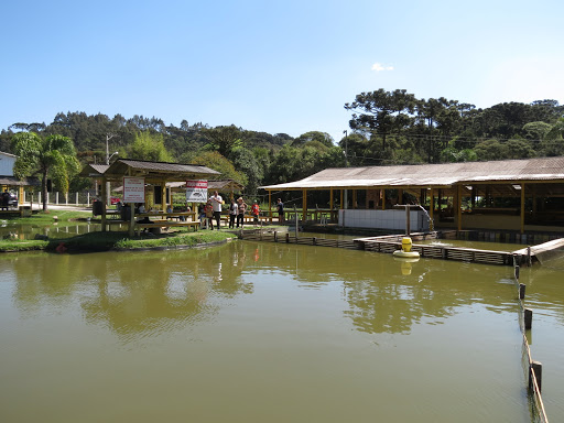Melhores Hotéis Baratos Perto de Campina Grande do Sul, Paraná 2025