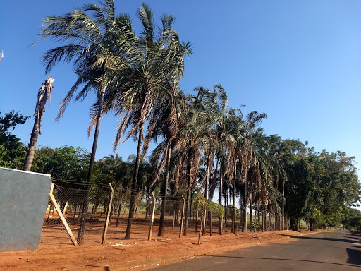 Melhores Hotéis Baratos Perto de Ribeiro dos Santos, São Paulo 2025