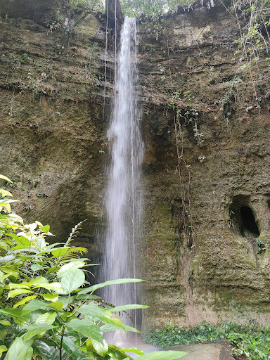 Melhores Hotéis Baratos Perto de Presidente Figueiredo, Amazonas 2025