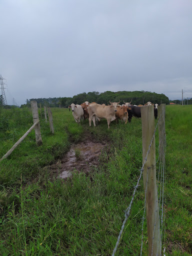 Melhores Hotéis Baratos Perto de Itapocu, Santa Catarina 2025