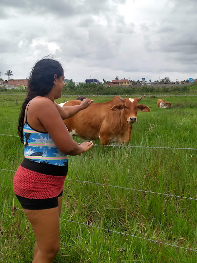 Melhores Hotéis Baratos Perto de Passo de Camarajibe, Alagoas 2025