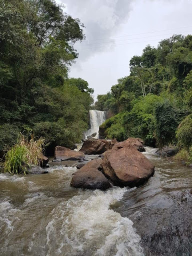 Melhores Hotéis Baratos Perto de Corbélia, Paraná 2025