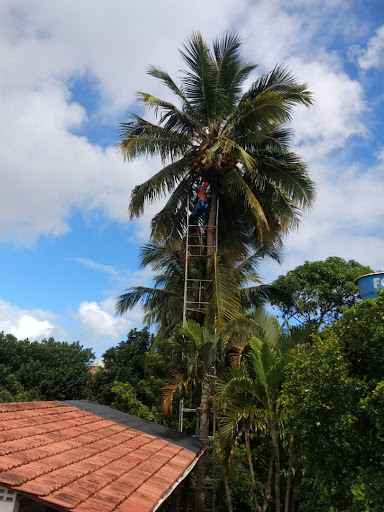 Melhores Hotéis Baratos Perto de Areia Branca, Bahia 2025